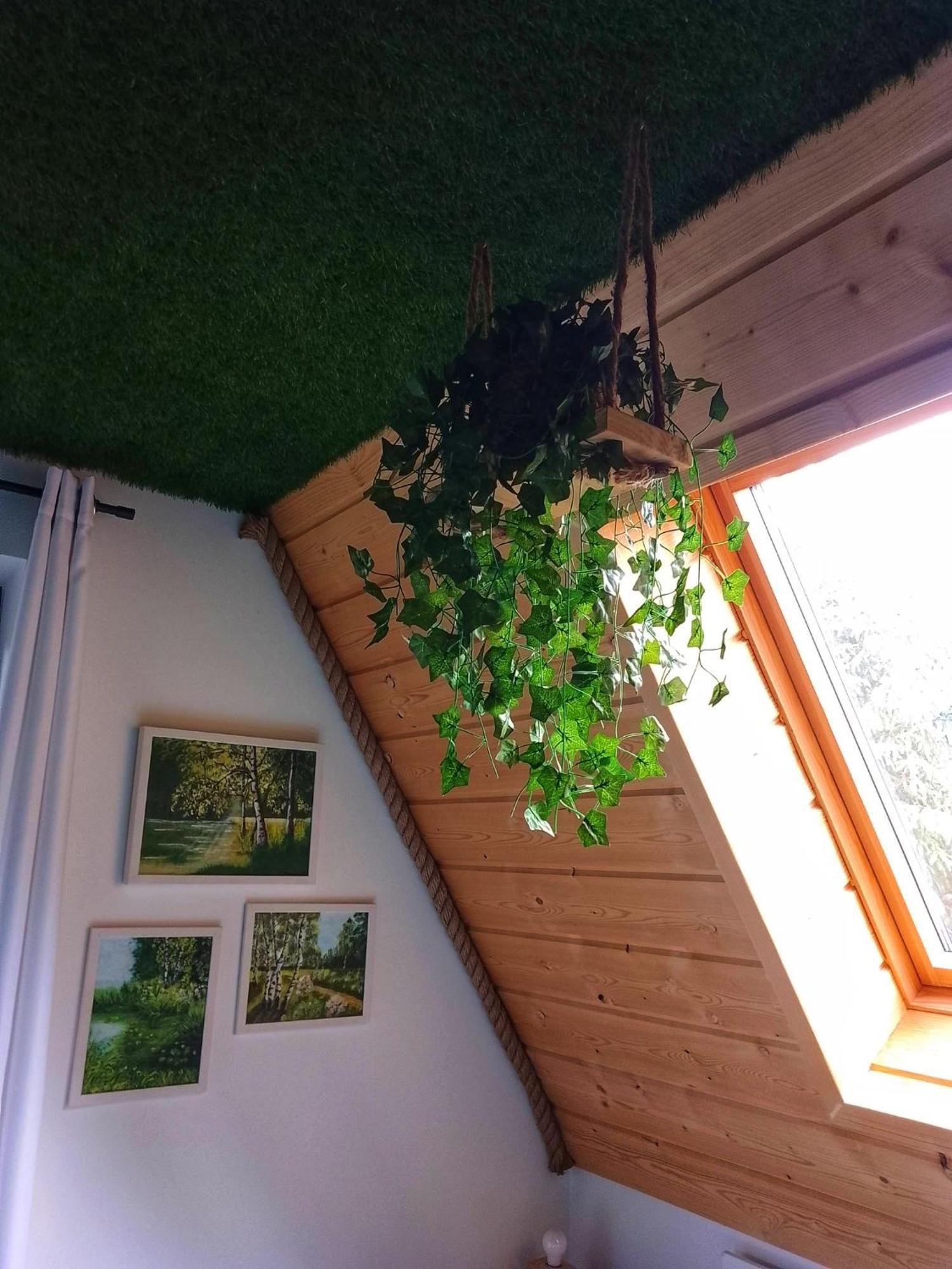 Zaciszny Zakatek Zawoja Appartement Buitenkant foto