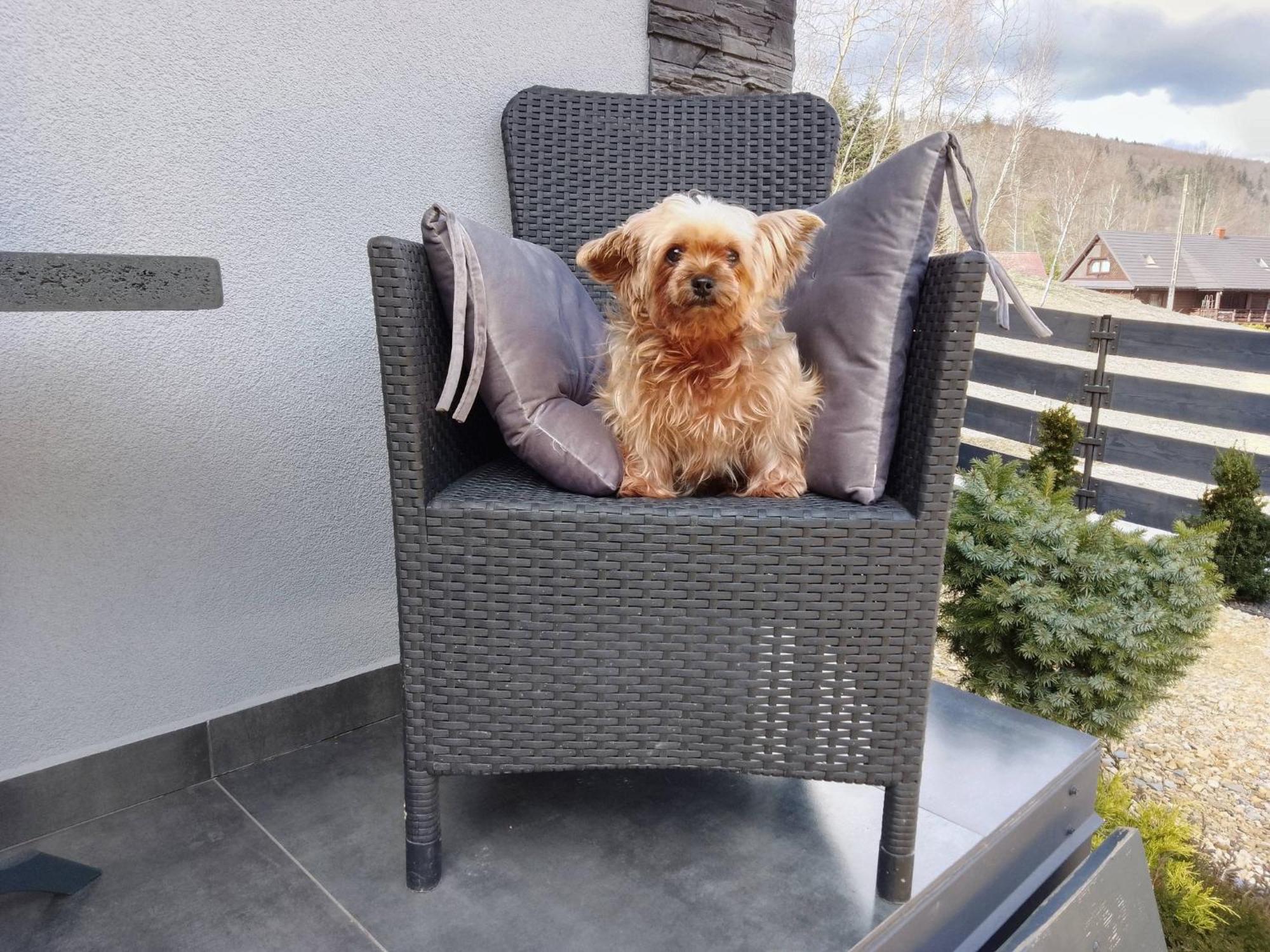 Zaciszny Zakatek Zawoja Appartement Buitenkant foto