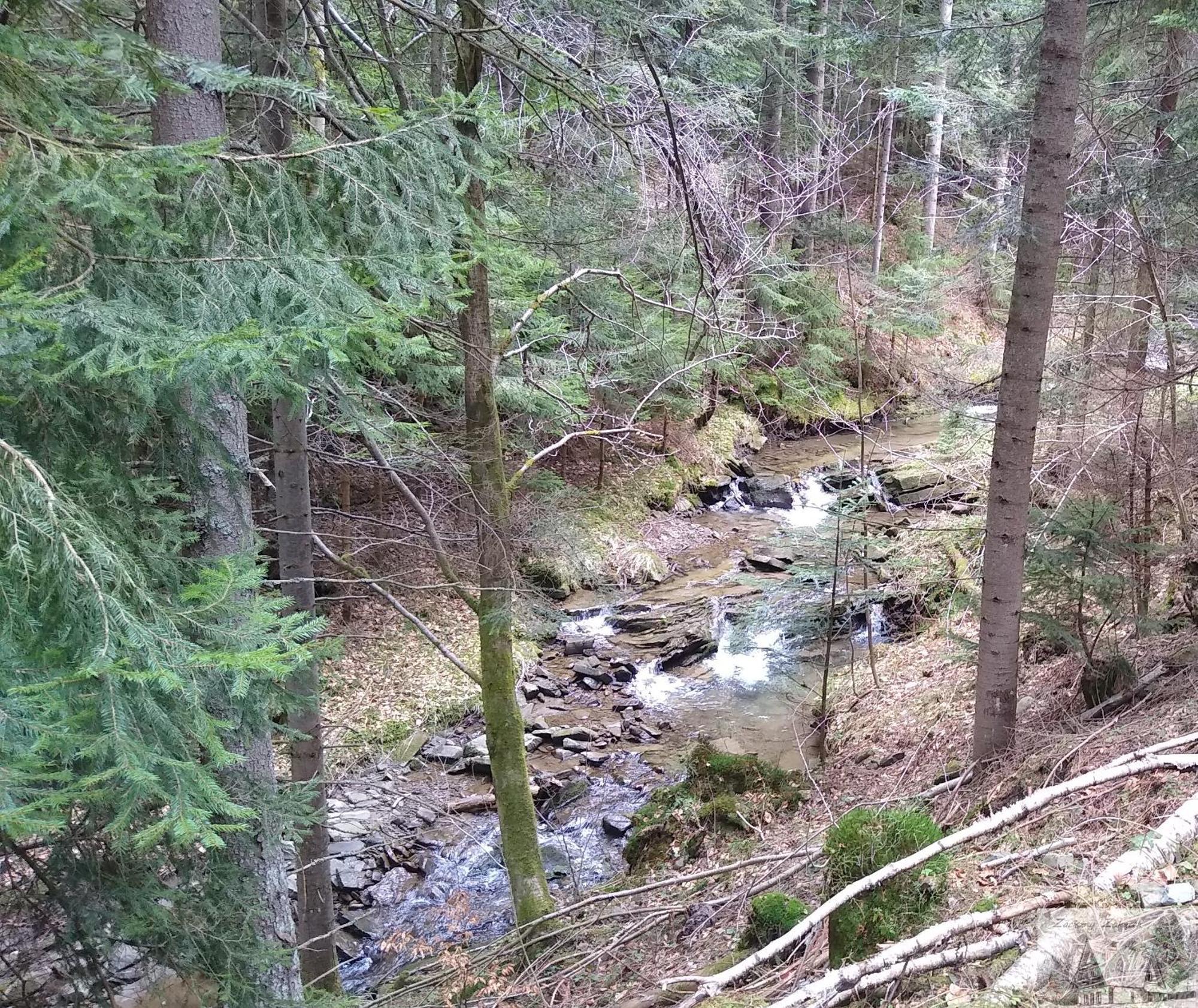 Zaciszny Zakatek Zawoja Appartement Buitenkant foto